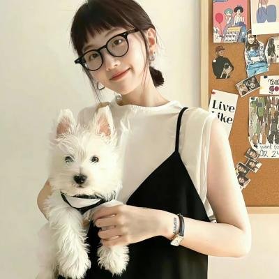 放学后海堤日记