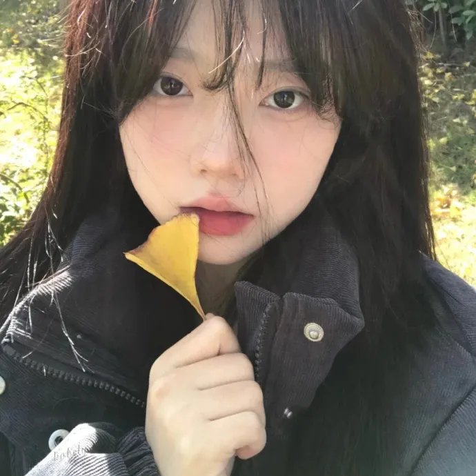 伊夫圣罗兰的手稿